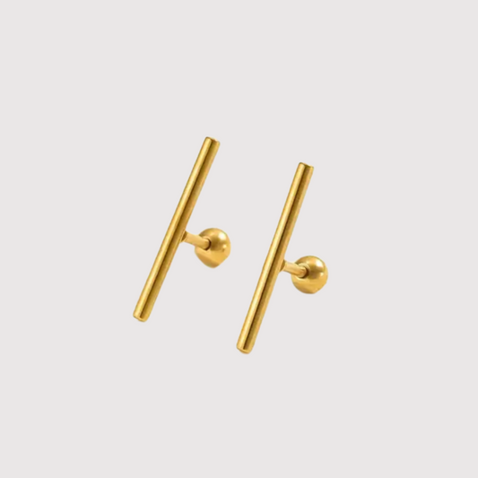 Aretes Pina