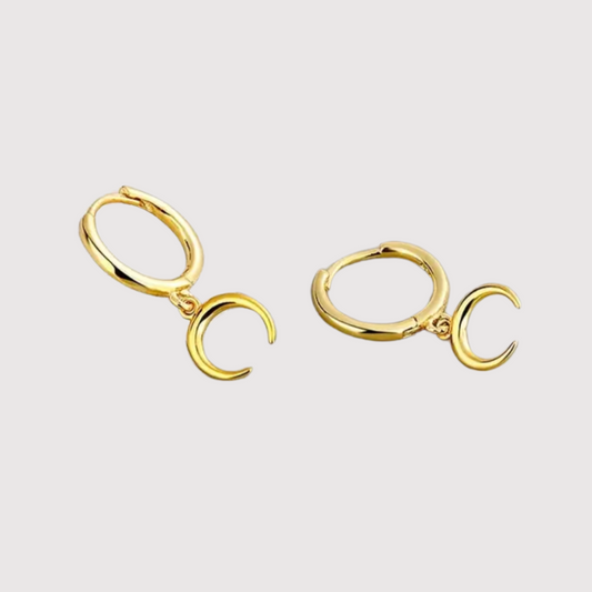 Aretes Grey