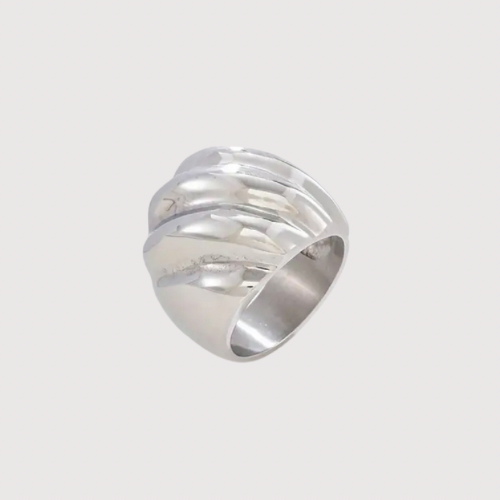 Anillo Oruga