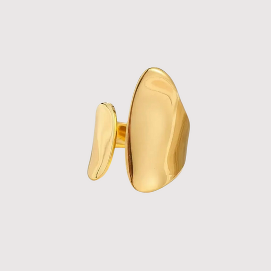 Anillo Govy