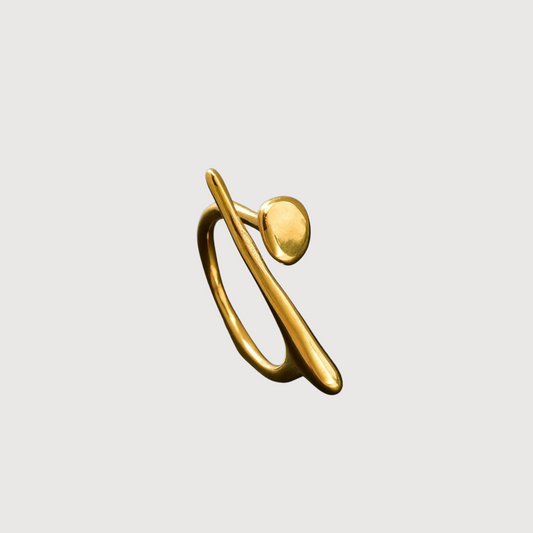 Anillo Vitta