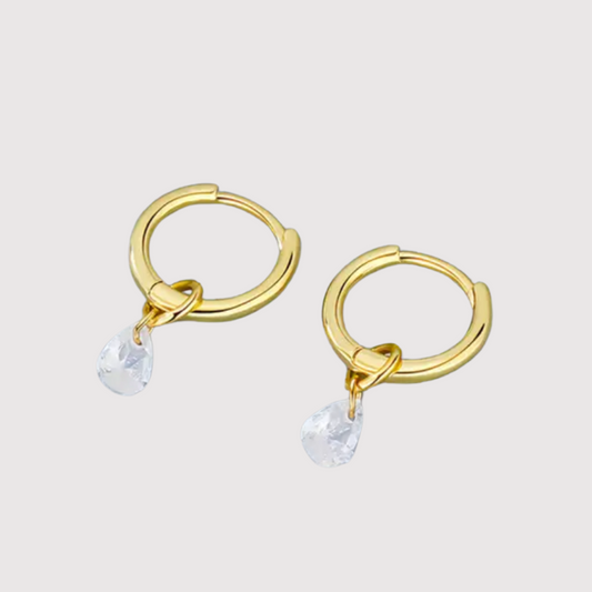 Aretes Claude