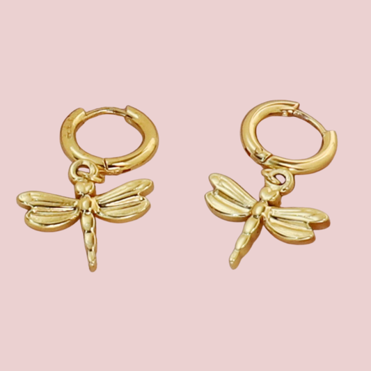 Hoops Libélula
