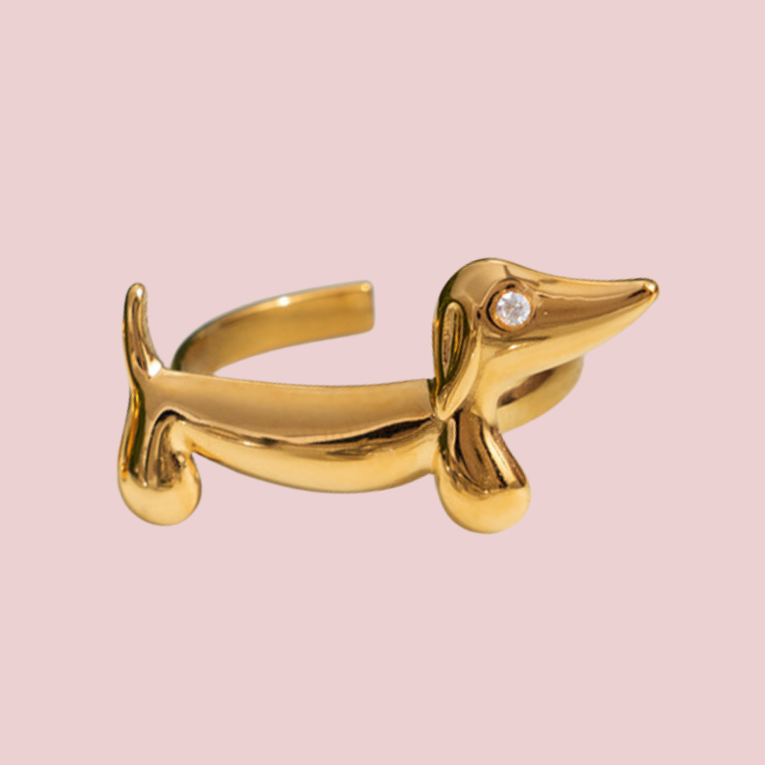 Anillo Salchi