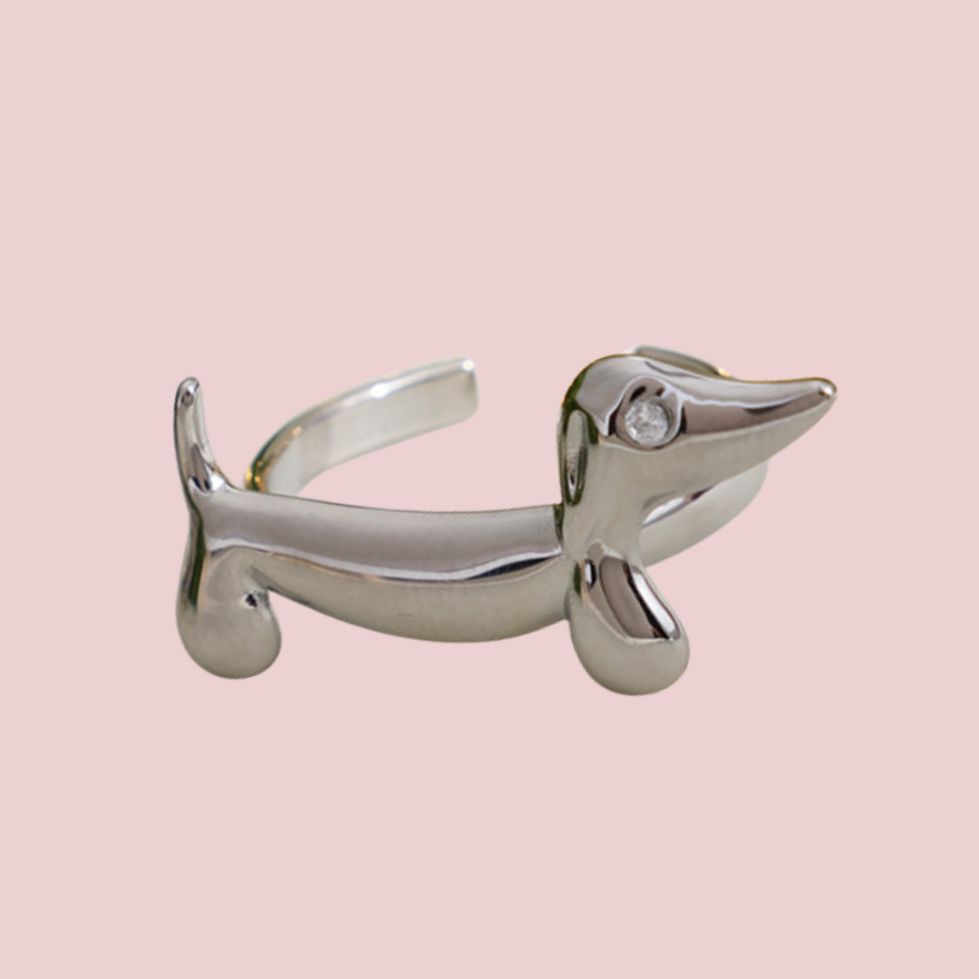 Anillo Salchi