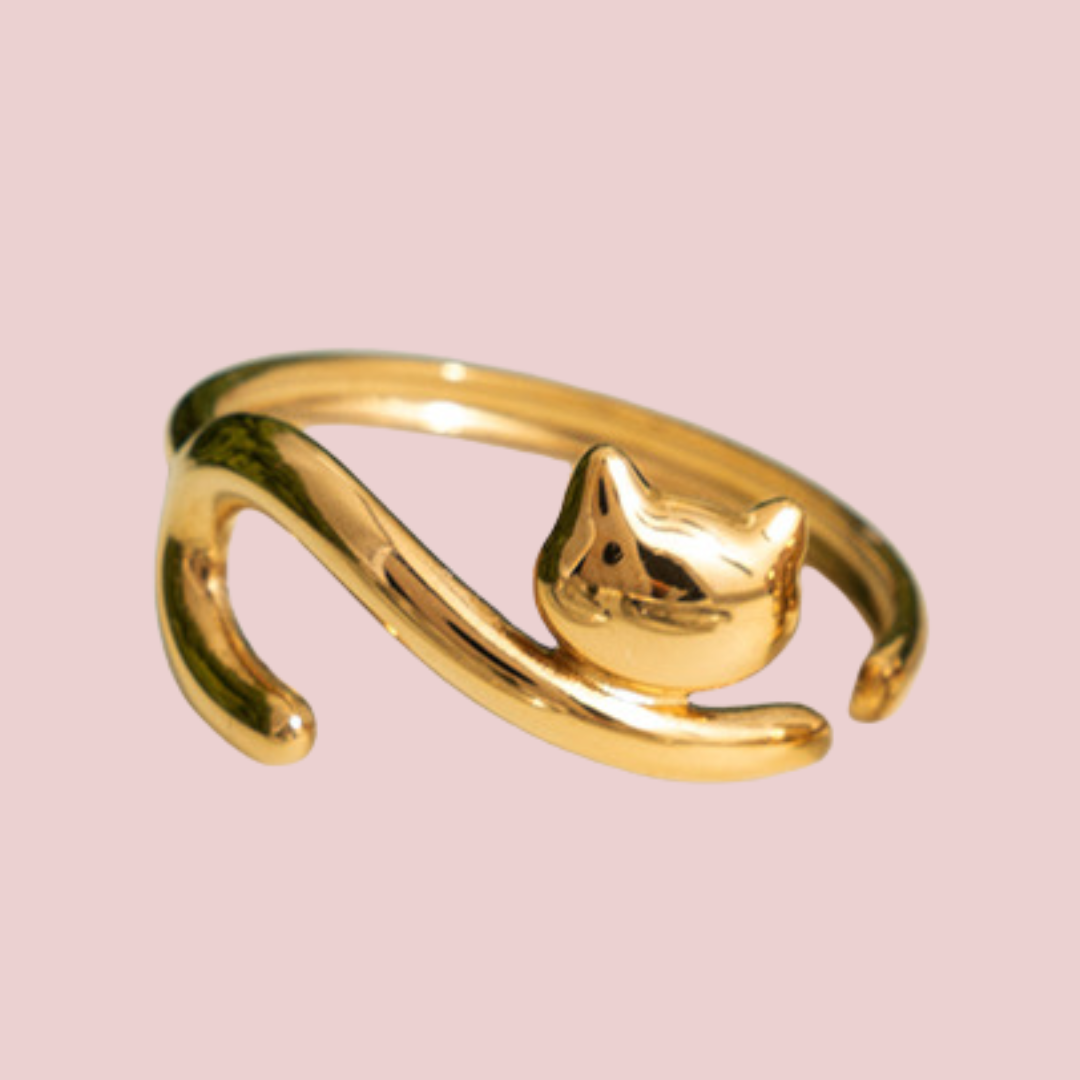 Anillo Michi