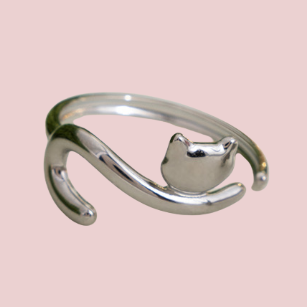 Anillo Michi