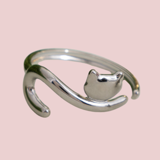 Anillo Michi